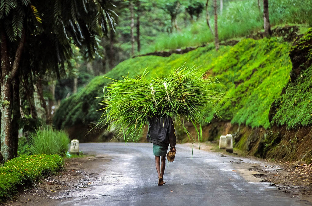 PLACES TO VISIT IN SRI LANKA