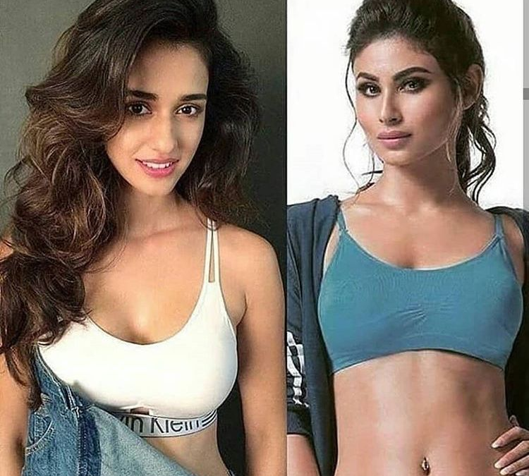 Disha Patani Sets Internet on Fire with Sensational Rain Dance – Guess Who Joined the Sizzling Show!