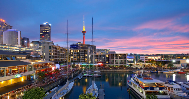 Discovering The Best of Auckland