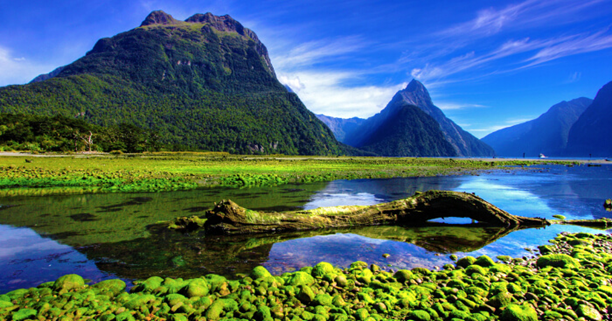 Exploring the Breathtaking Beauty of Milford Sound