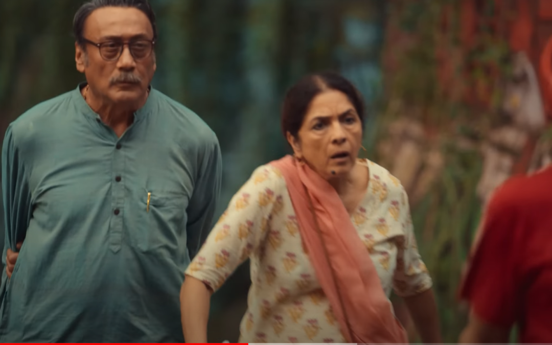 A Cinematic Revival: Hindi Cinema’s Mini-Renaissance Unveiled Through ‘Mast Mein Rehne Ka’ and More