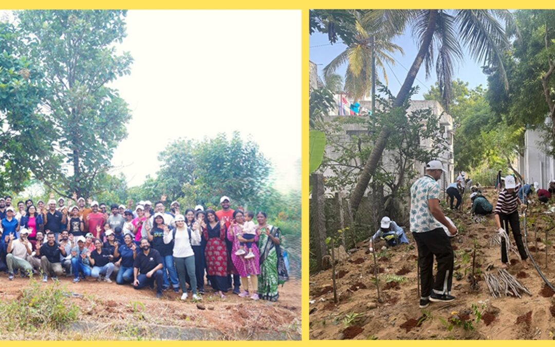 Tiger Analytics and Ruva Foundation Plant 6,000 Saplings in Chennai and Bengaluru to Mark International Ozone Day