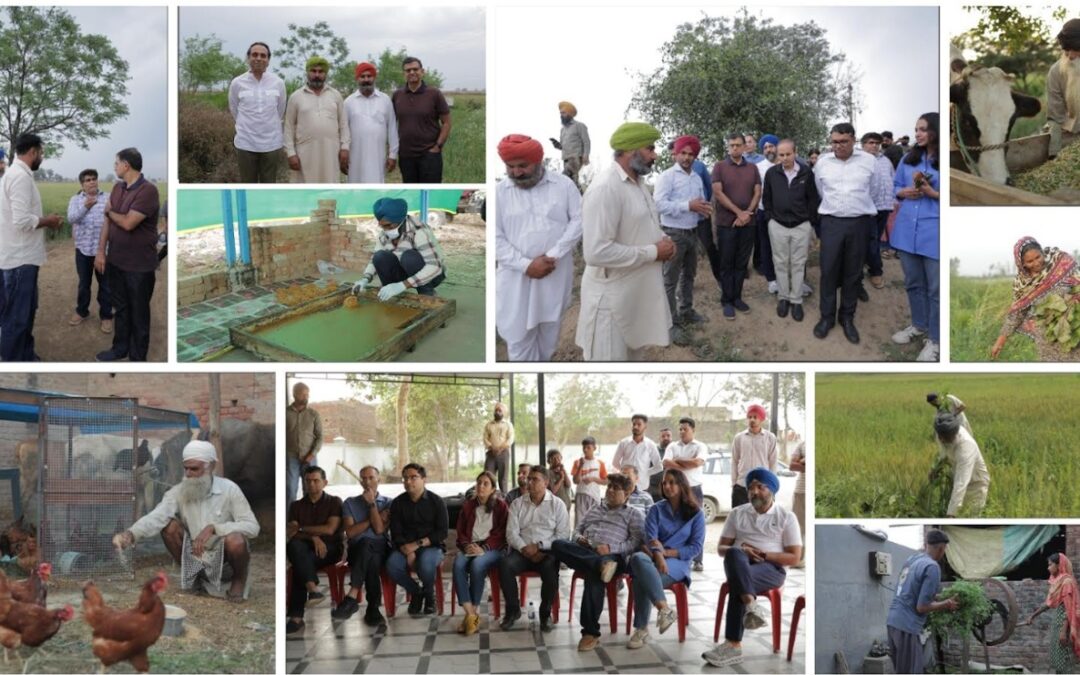 PwC India Foundation strengthens climate Resilient Livelihoods for more than 400 Farming Households through Flood Recovery Initiatives